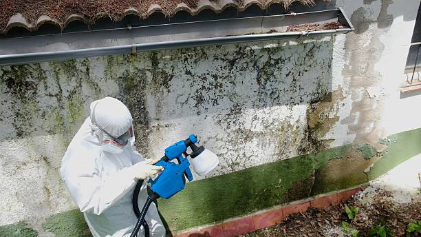 Top rated local Mold Remediation specialists in Kinzers, PA